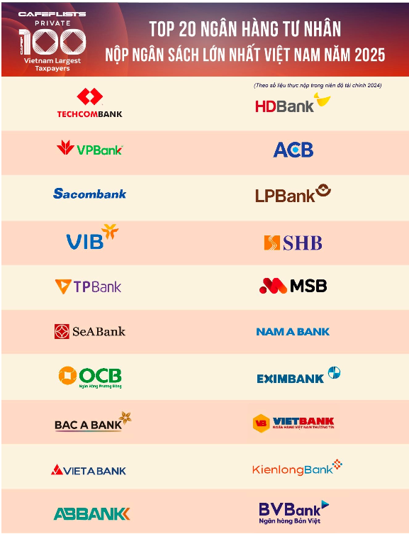 VIB hoàn tất nộp bổ sung 5,75 tỷ đồng, đóng góp 2.624 tỷ đồng cho ngân sách năm 2024 - Ảnh 2