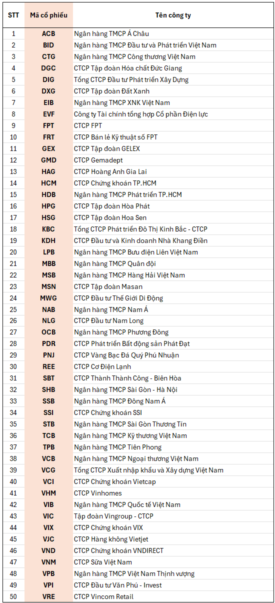 Bộ chỉ số mới VN50 GROWTH gồm những mã cổ phiếu nào? - Ảnh 1