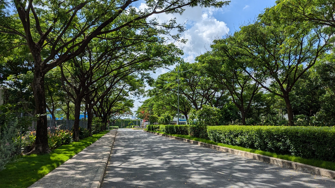 S P Setia – 50 năm kiến tạo không gian sống “đúng giá trị” trên toàn cầu - Ảnh 2