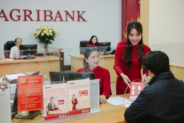 Agribank đẩy mạnh sắp xếp tổ chức mạng lưới theo hướng tăng cường phát triển "tam nông" - Ảnh 3