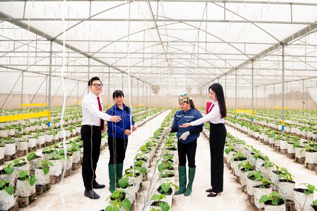 Agribank đẩy mạnh sắp xếp tổ chức mạng lưới theo hướng tăng cường phát triển "tam nông" - Ảnh 4