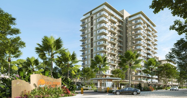 Người trẻ chọn tích sản bằng cách mua nhà – Lựa chọn thông minh trong thời bão giá