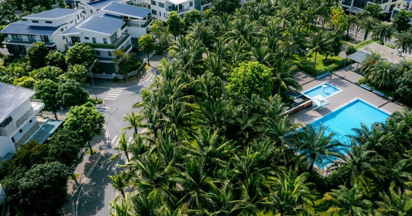Sóng đầu tư đổ về đô thị khép kín: Bí mật đằng sau những phiên mở bán