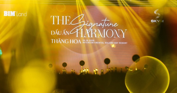 SkyM tổng kết hành trình thăng hoa với những kỷ lục giao dịch ấn tượng