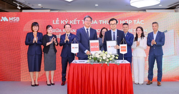 MSB đạt chứng nhận ACCA Approved Employer: Cam kết phát triển Nhân sự bền vững