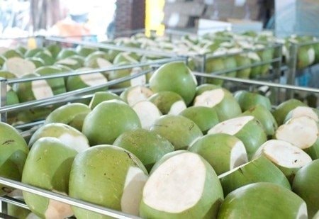 Sau sầu riêng, thêm một 'sản vật' của Việt Nam trở thành đối thủ lớn của Thái Lan: sản lượng hơn 2 triệu tấn/năm, nước ta là ông lớn thứ 7 thế giới - Ảnh 1