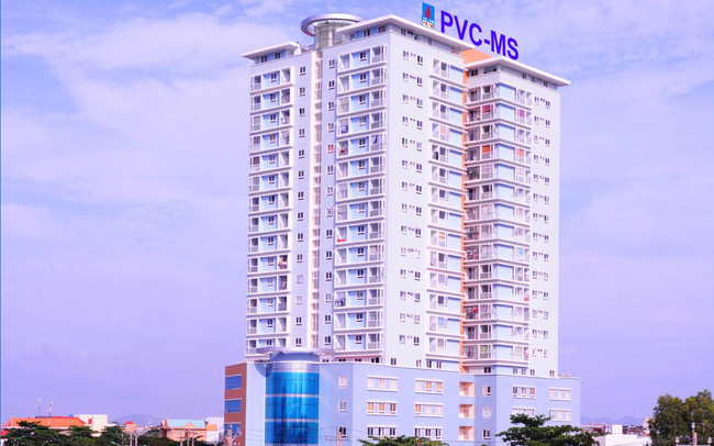 PVC - MS nợ bảo hiểm, bị kiểm toán nghi ngờ về khả năng hoạt động liên tục - Ảnh 1