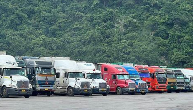 Hàng trăm container sầu riêng 'mắc kẹt' tại cửa khẩu Lạng Sơn - Ảnh 2