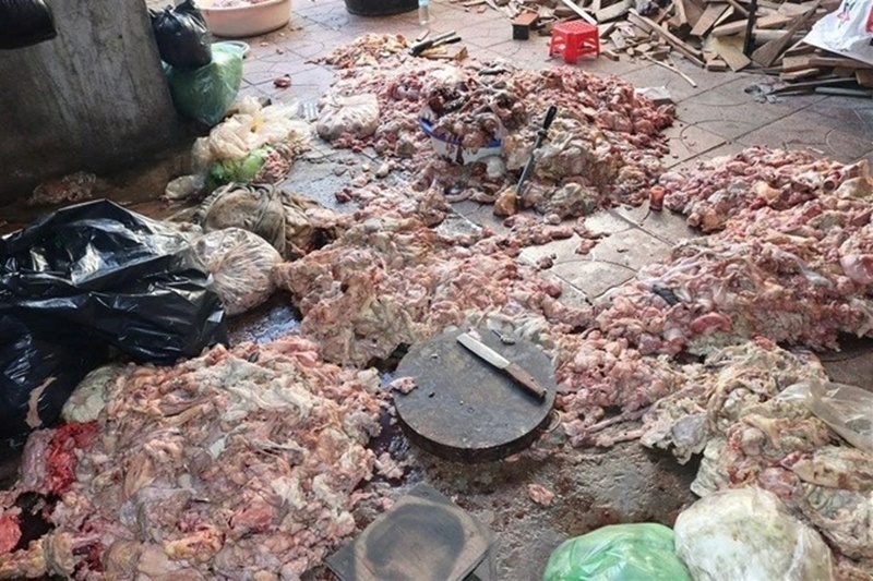 Hãi hùng cảnh mỡ động vật bẩn chất đống dưới nền nhà nhếch nhác, chuẩn bị chế biến tuồn ra thị trường ở Nghệ An - Ảnh 1