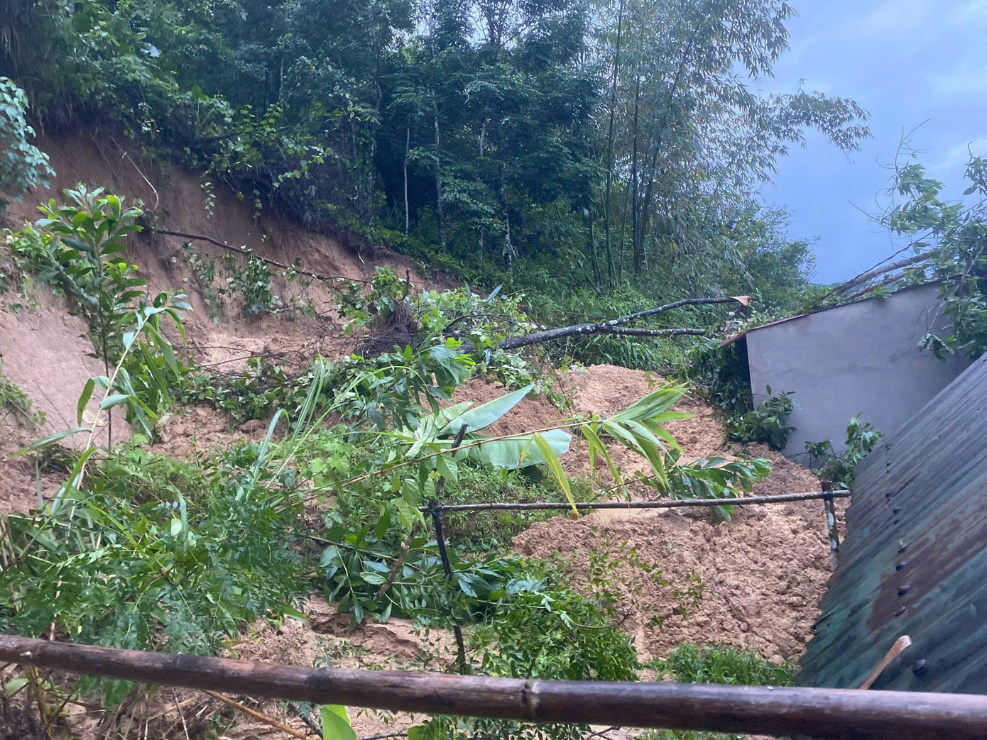 Nước lũ nhấn chìm hơn 66.800 nhà dân ở Đà Nẵng, mưa lớn chưa có dấu hiệu giảm - Ảnh 4