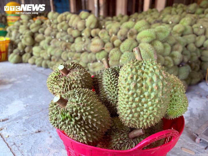 Xôn xao thông tin các kho ngừng thu mua sầu riêng: Thương lái, nhà vườn lo lắng - Ảnh 2