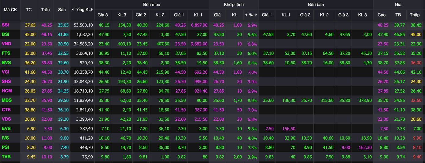 VN-Index tăng gần 50 điểm, cổ phiếu chứng khoán ‘đua trần’ - Ảnh 1