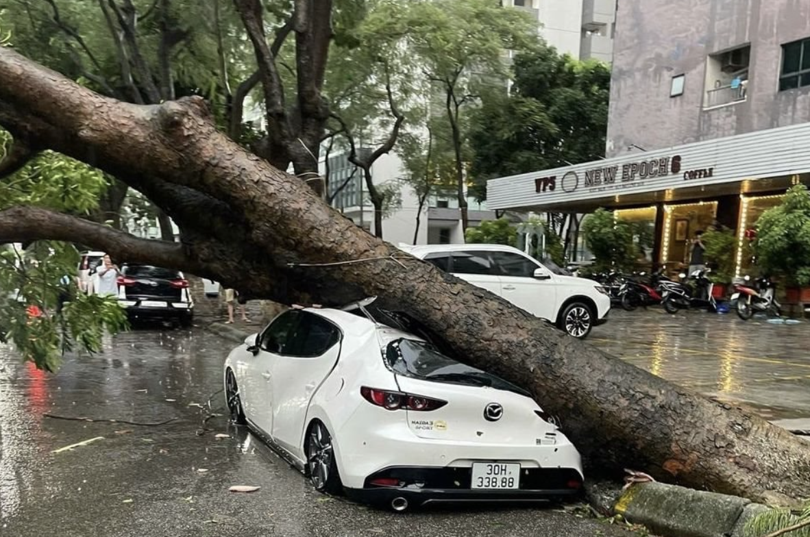 Một doanh nghiệp bảo hiểm ghi nhận 226 vụ tổn thất do bão số 10, bồi thường cao nhất 700 triệu đồng/trường hợp - Ảnh 1