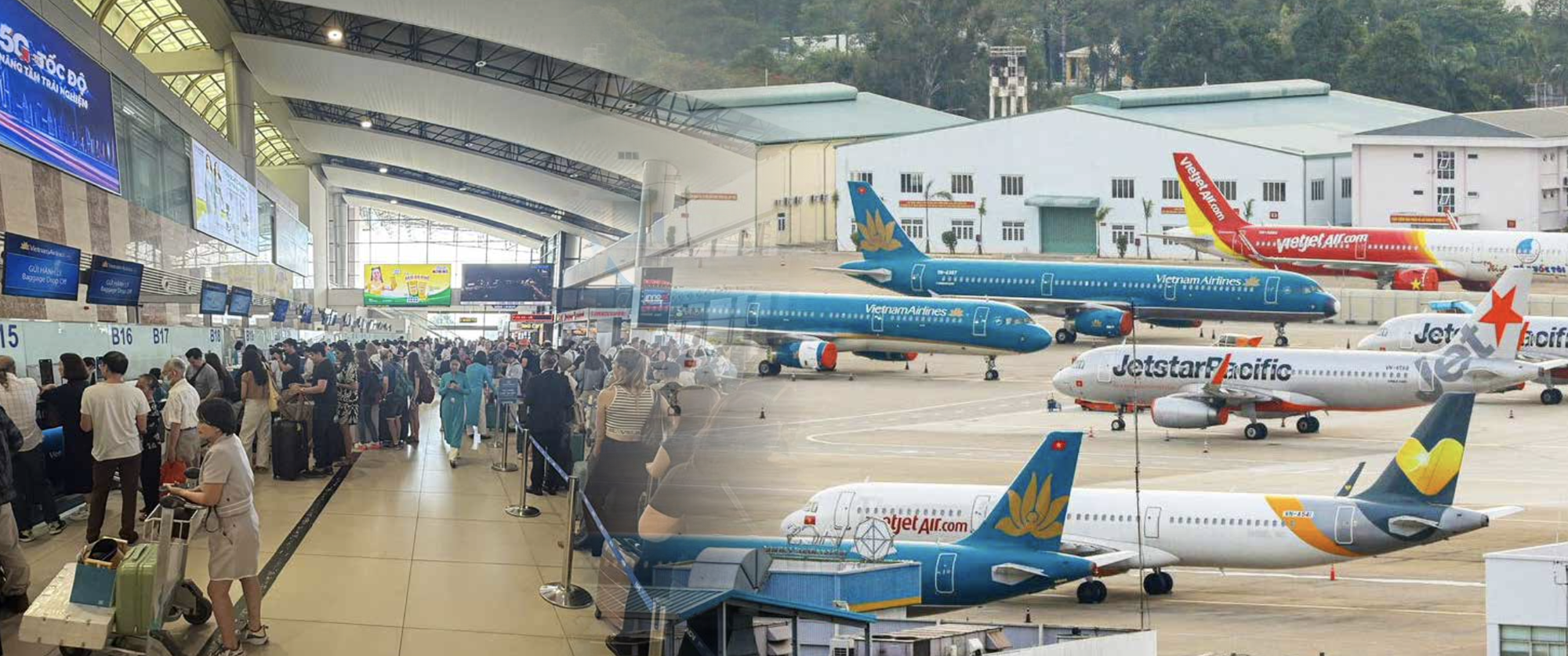 Cuộc đua vé máy bay Tết 2026: Sức ép giá vé và lựa chọn khó khăn - Ảnh 1