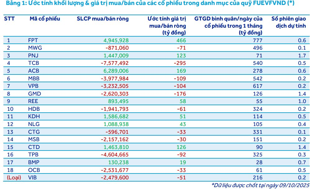 “Cá mập” quy mô gần 14.000 tỷ đồng có thể mua mạnh cổ phiếu này trong kỳ cơ cấu tháng 10 - Ảnh 2