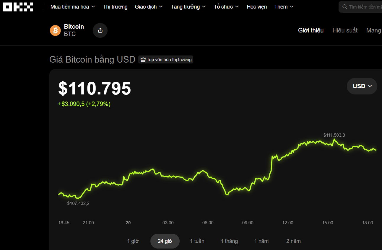 Thị trường tiền số hôm nay, 20-10: Chuyên gia nói gì về đà phục hồi của Bitcoin sau cú sập? - Ảnh 1