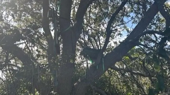 Fox News: Phát hiện 'điểm ngắm' bí ẩn hướng thẳng chuyên cơ Air Force One của ông Trump, FBI vào cuộc điều tra khẩn - Ảnh 1