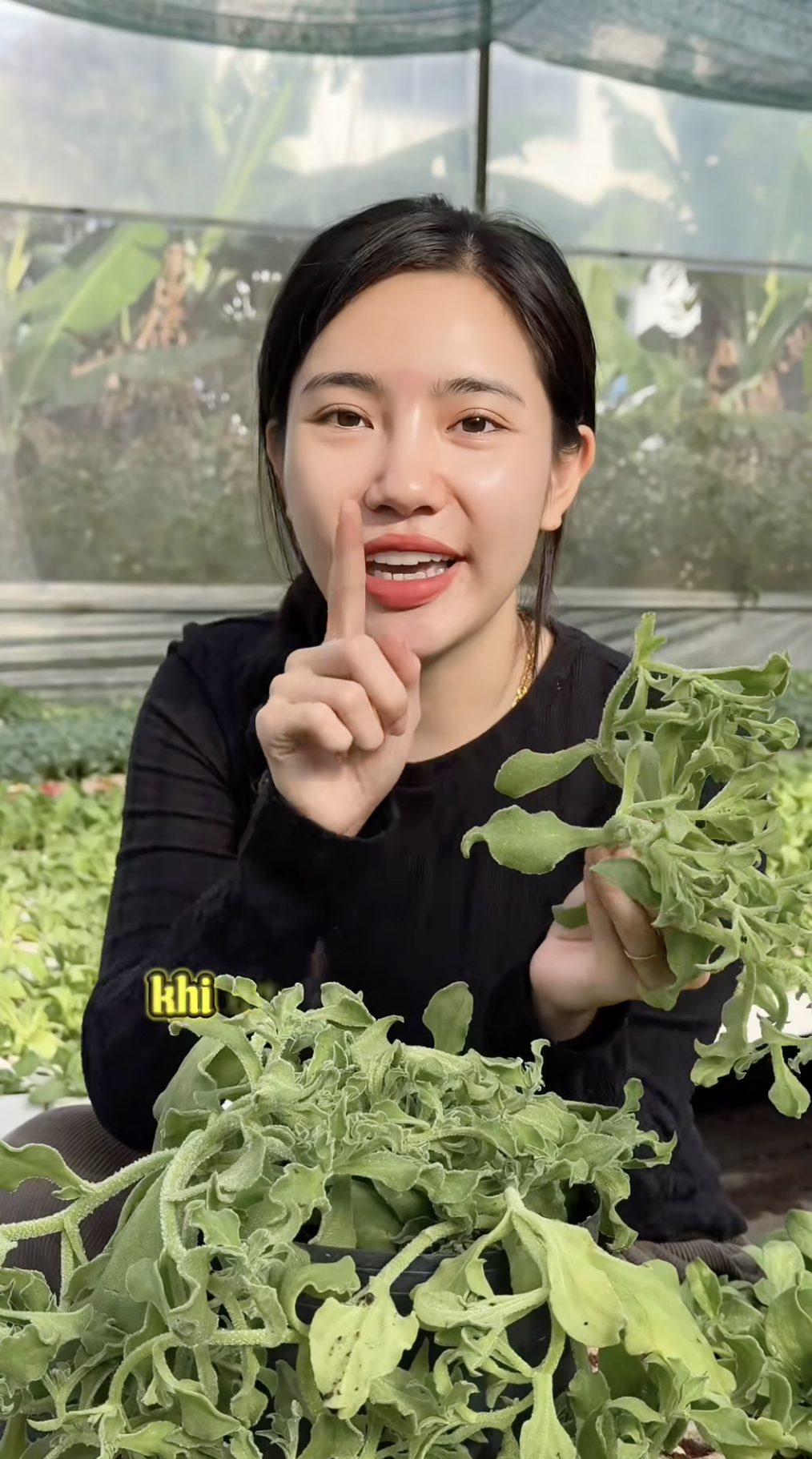 Sự thật về rau xà lách giá 300k/kg, vị mặn như muối đang được săn lùng nhất Việt Nam - Ảnh 2