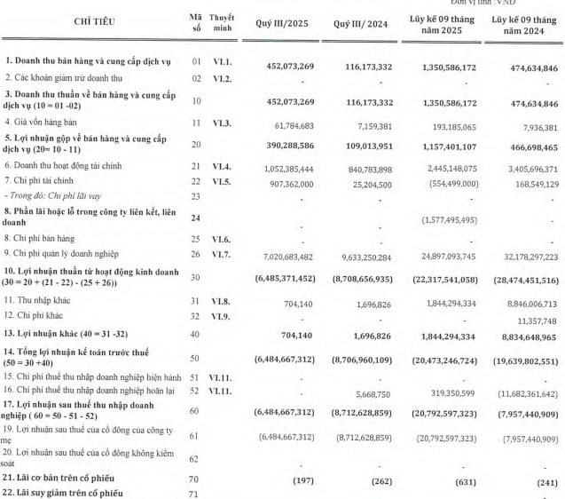 Một doanh nghiệp trên sàn chứng khoán đang thu tiền mỗi ngày từ sân Pickleball - Ảnh 1