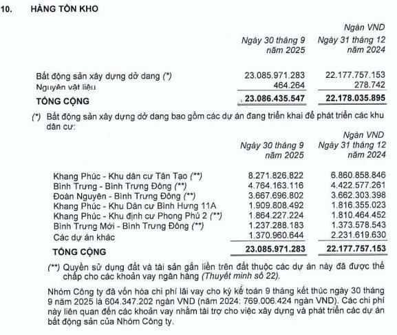 Một công ty bất động sản lập kỷ lục mới: Lợi nhuận "khủng" gấp 8 lần cùng kỳ - Ảnh 3