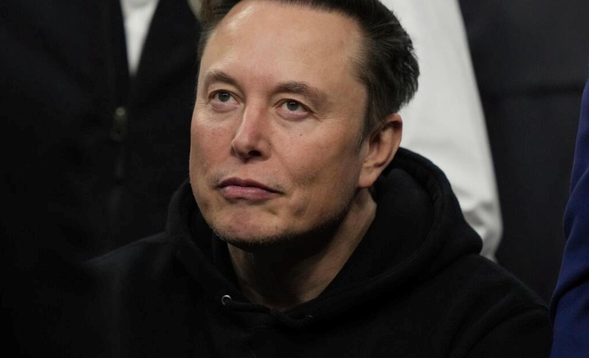 Elon Musk ra mắt nền tảng bách khoa toàn thư thách thức Wikipedia - Ảnh 2