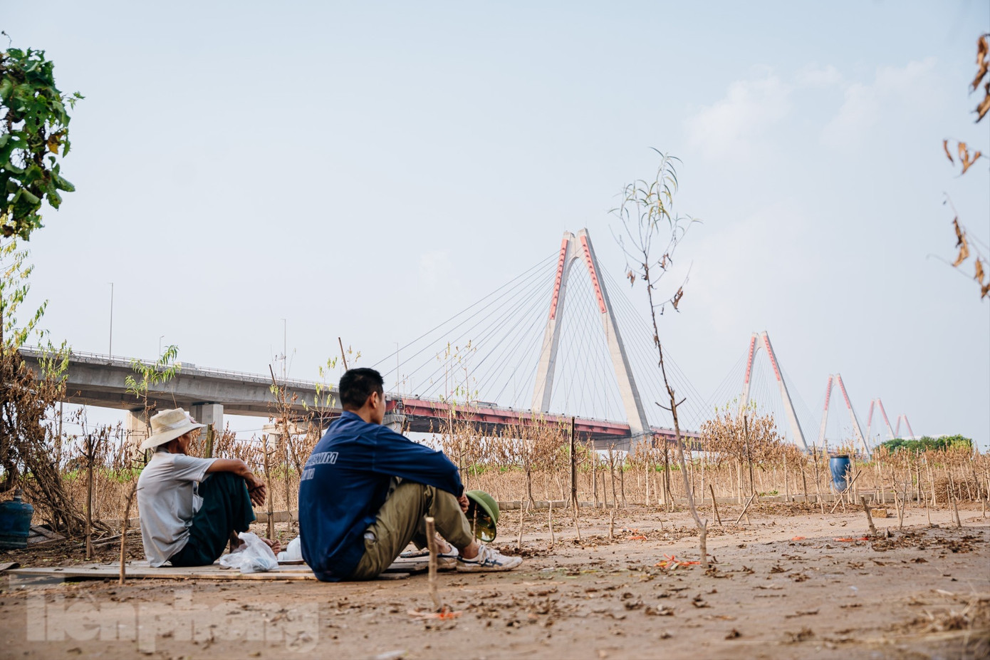 Đào Nhật Tân chết khô chết héo - Ảnh 14