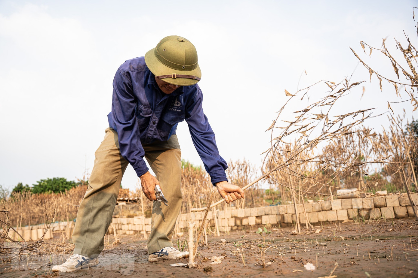Đào Nhật Tân chết khô chết héo - Ảnh 8