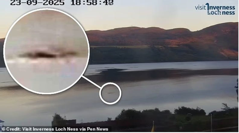 Gặp 'thủy quái' to như xe buýt bơi trên mặt hồ, thợ săn nói: Những gì tôi thấy là độc nhất vô nhị - Ảnh 1