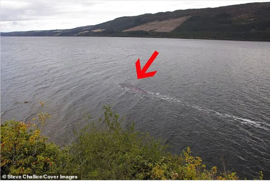 Gặp 'thủy quái' to như xe buýt bơi trên mặt hồ, thợ săn nói: Những gì tôi thấy là độc nhất vô nhị - Ảnh 2