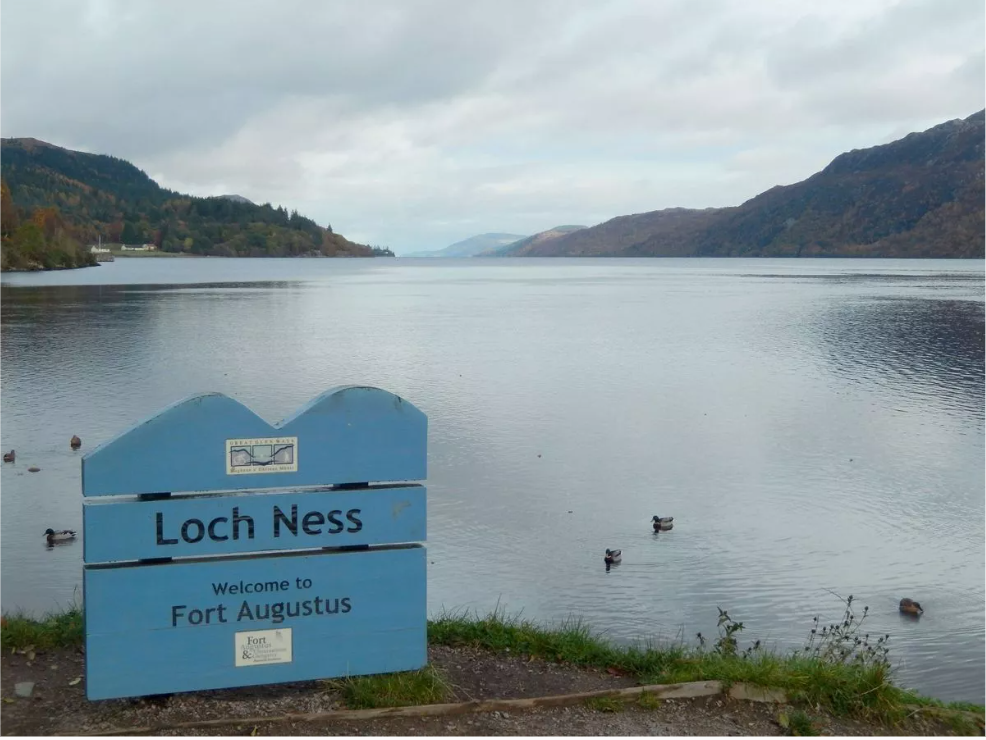 Gặp 'thủy quái' to như xe buýt bơi trên mặt hồ, thợ săn nói: Những gì tôi thấy là độc nhất vô nhị - Ảnh 5