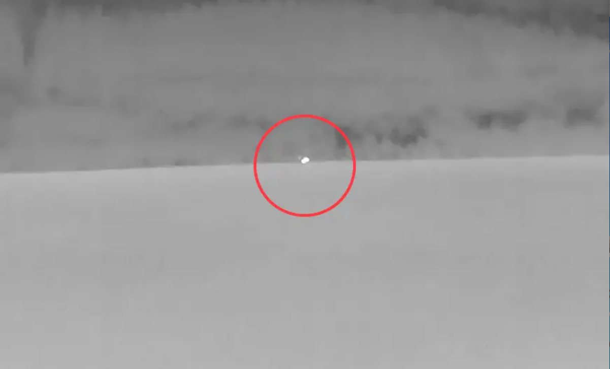 Gặp 'thủy quái' to như xe buýt bơi trên mặt hồ, thợ săn nói: Những gì tôi thấy là độc nhất vô nhị - Ảnh 3