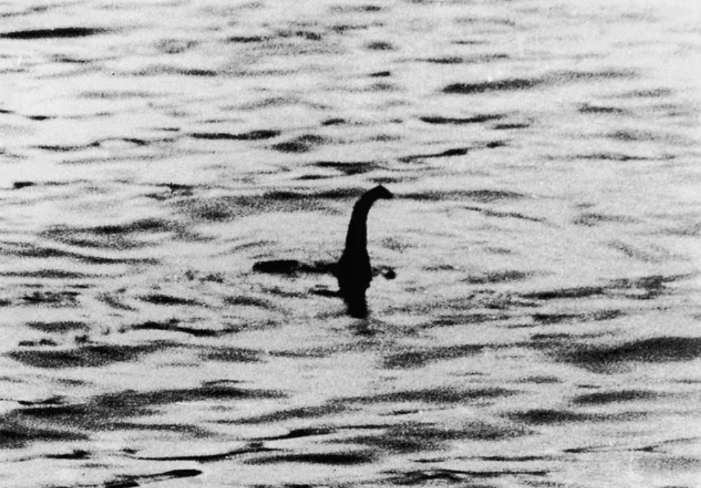 Gặp 'thủy quái' to như xe buýt bơi trên mặt hồ, thợ săn nói: Những gì tôi thấy là độc nhất vô nhị - Ảnh 4