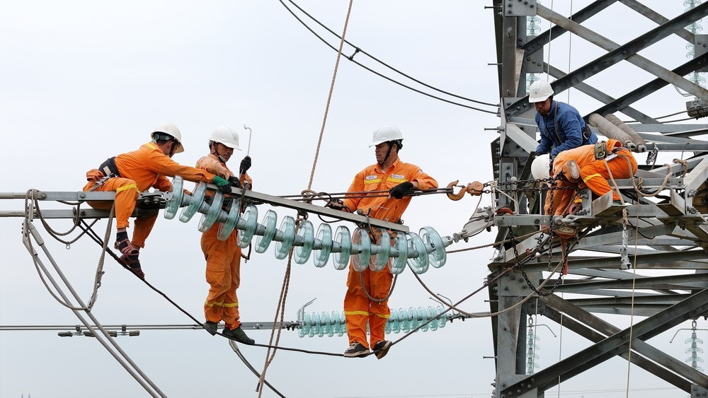 Hoàn thành thay thế cách điện đường dây 220kV mạch kép Thái Bình – Tiền Hải – Trực Ninh - Ảnh 2