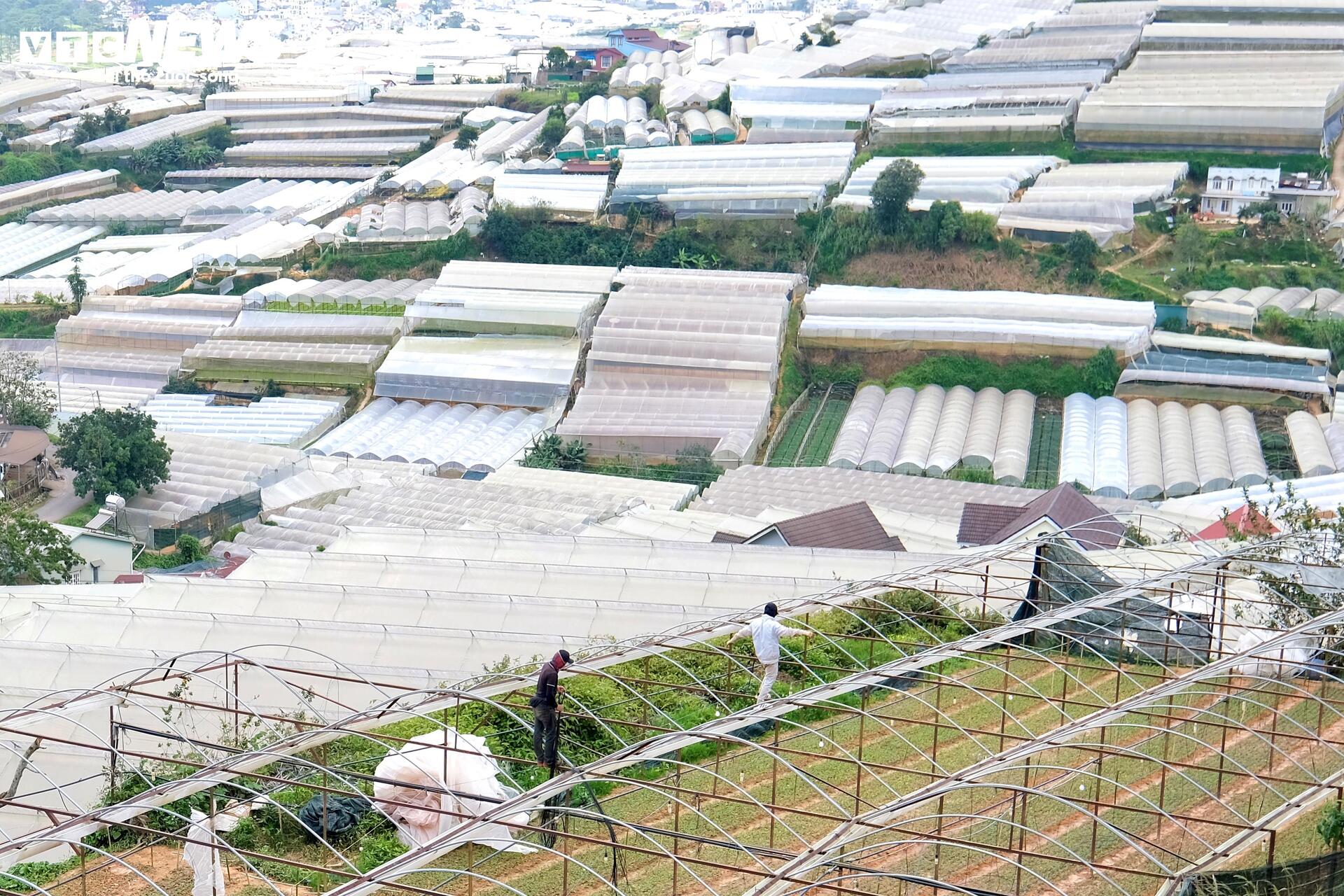 Đà Lạt trong vòng xoáy bê tông, nhà kính: Tỉnh cam kết siết quản lý xây dựng - Ảnh 5