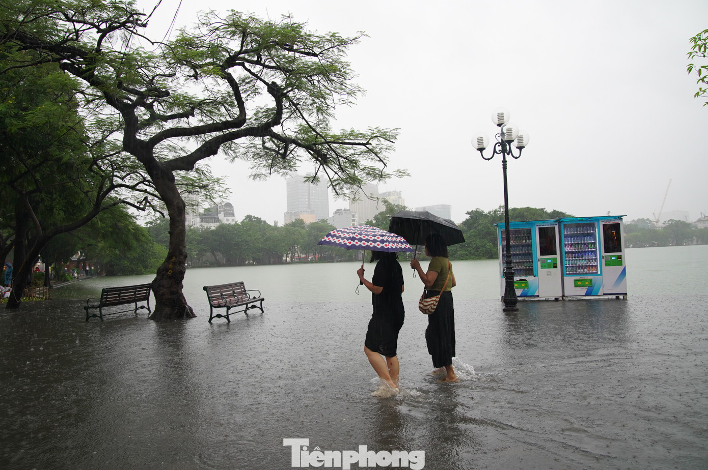Nước hồ Gươm tràn bờ, nhiều tuyến phố cổ ngập sâu - Ảnh 3