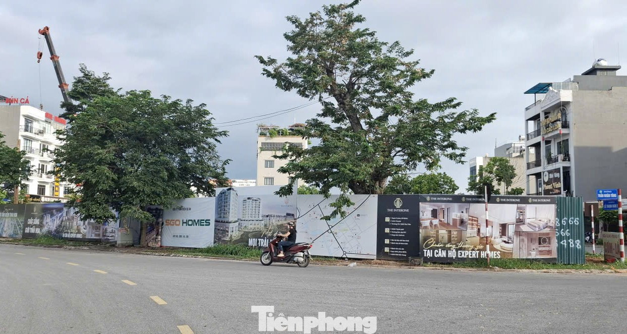 'Choáng' với giá chung cư ở tỉnh lẻ 'nhảy múa' lên đến 80 triệu đồng/m2 - Ảnh 1