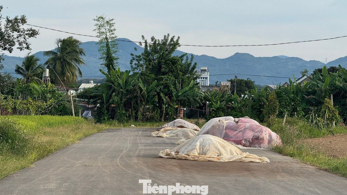 Cầu hơn 120 tỷ xây xong nằm ‘phơi nắng mưa’ chờ… 3 hộ dân - Ảnh 5