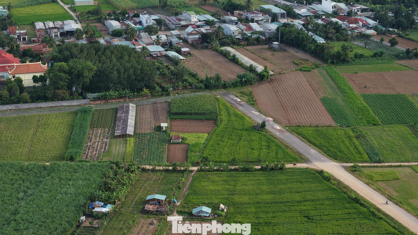 Cầu hơn 120 tỷ xây xong nằm ‘phơi nắng mưa’ chờ… 3 hộ dân - Ảnh 4