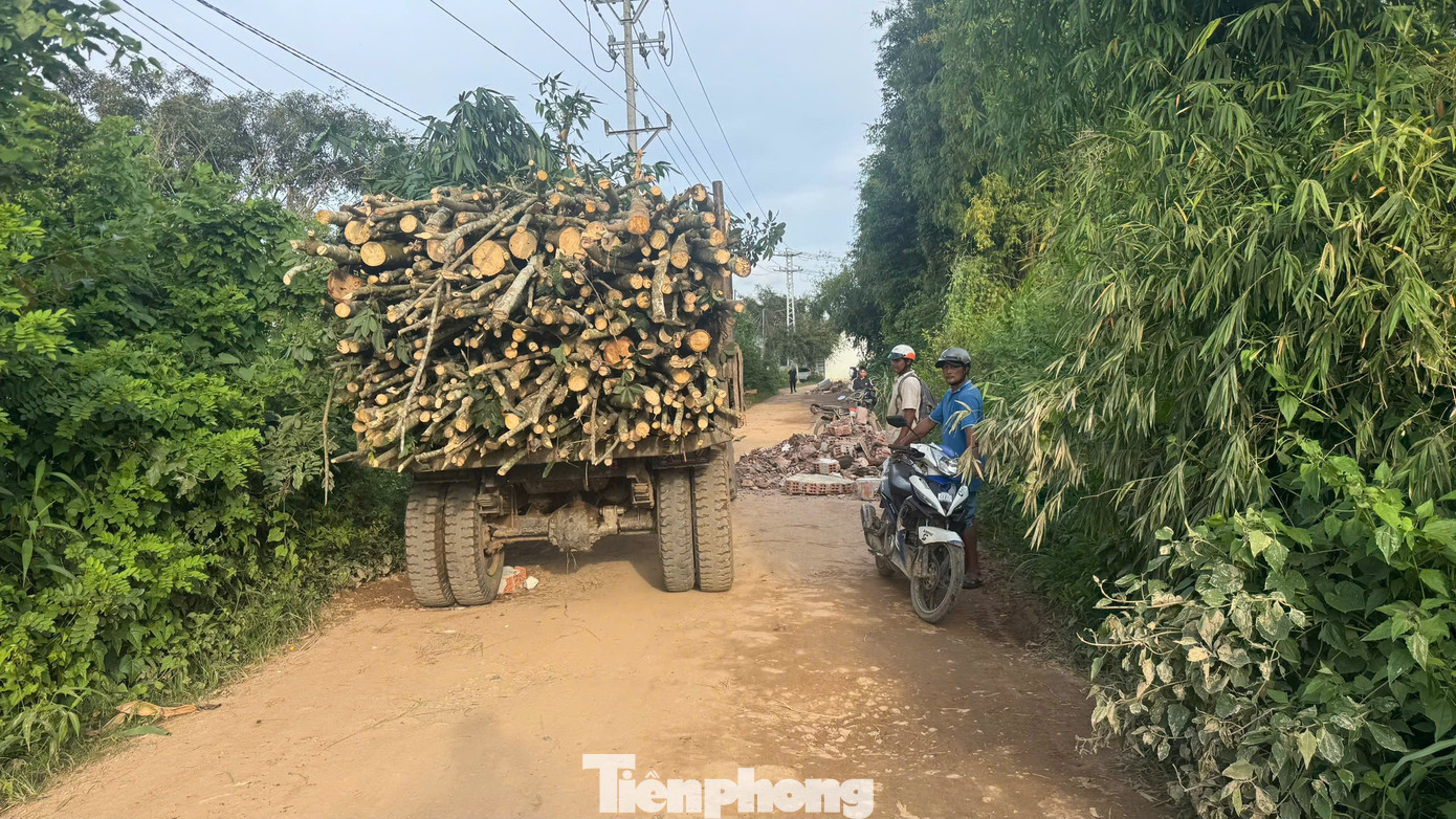 Cầu hơn 120 tỷ xây xong nằm ‘phơi nắng mưa’ chờ… 3 hộ dân - Ảnh 8