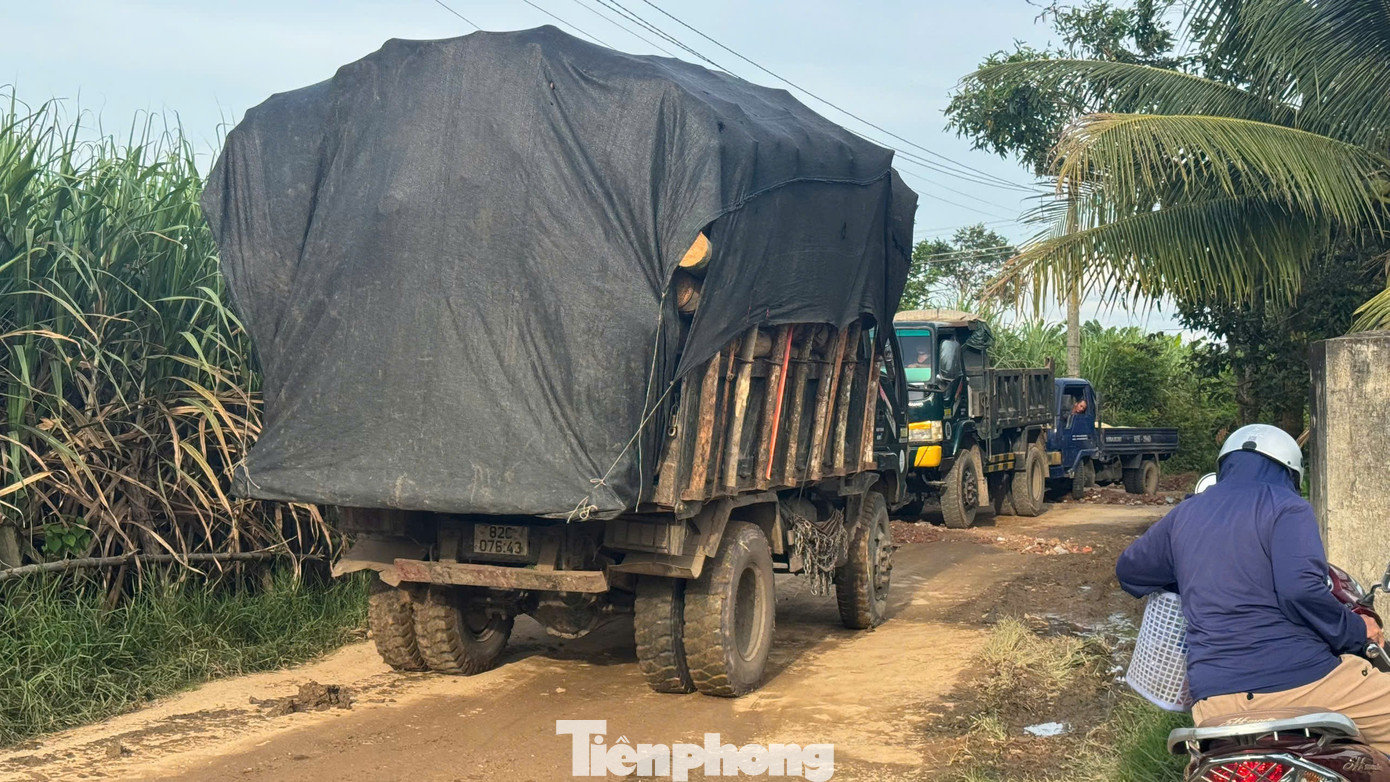 Cầu hơn 120 tỷ xây xong nằm ‘phơi nắng mưa’ chờ… 3 hộ dân - Ảnh 7