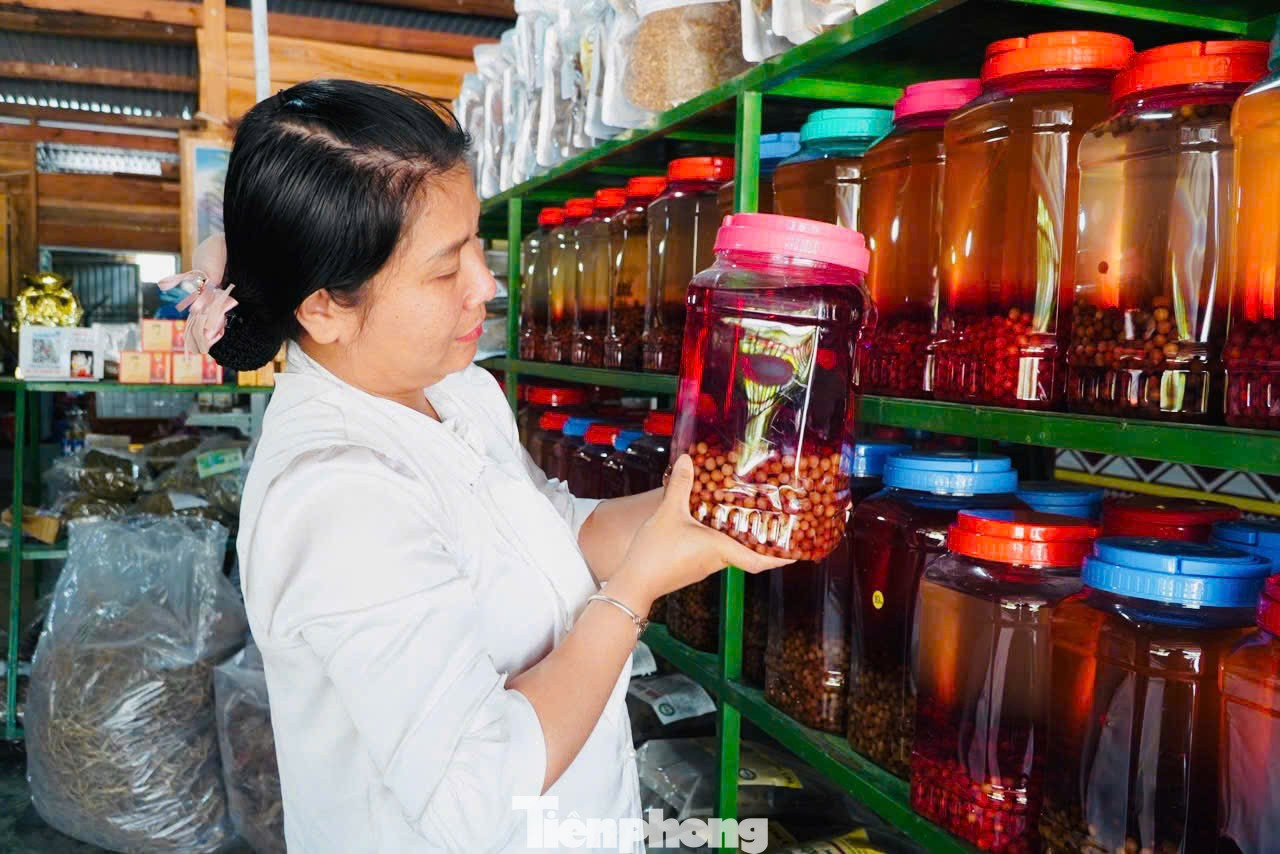 'Hạt ngọc trời' là gì, đắt đỏ ra sao mà người dân kéo nhau lên núi tìm kiếm? - Ảnh 24