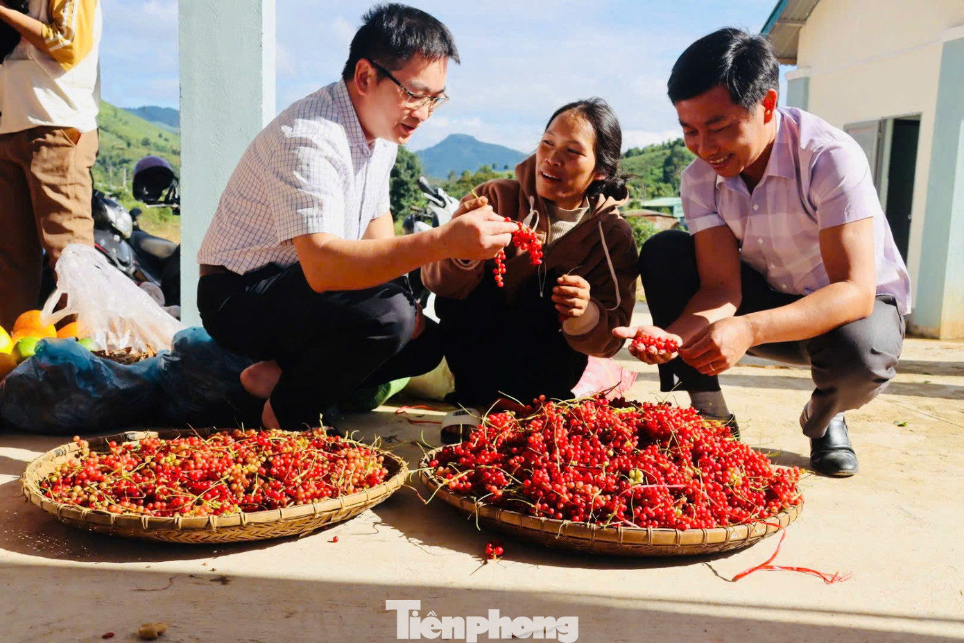 'Hạt ngọc trời' là gì, đắt đỏ ra sao mà người dân kéo nhau lên núi tìm kiếm? - Ảnh 27