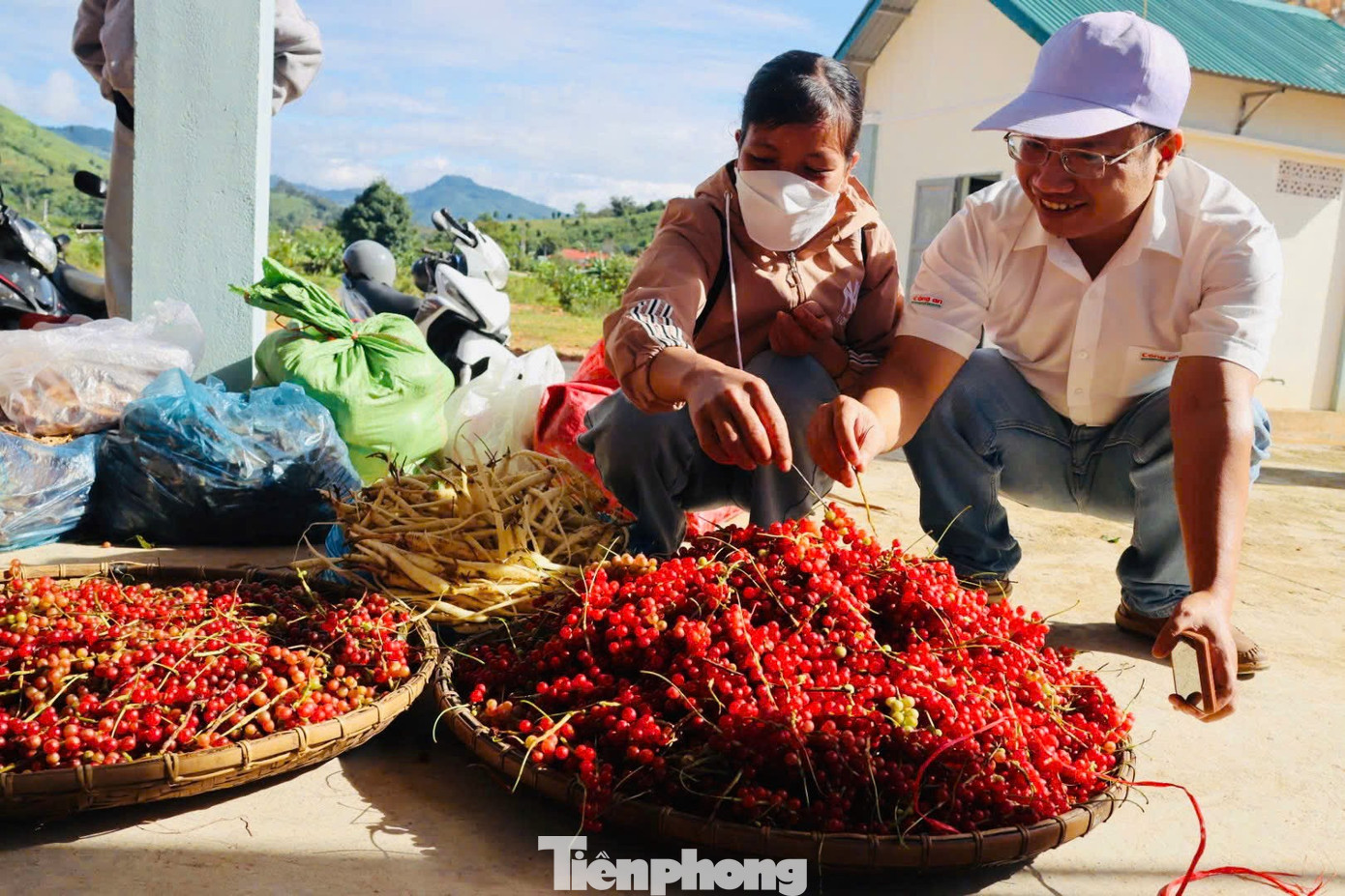 'Hạt ngọc trời' là gì, đắt đỏ ra sao mà người dân kéo nhau lên núi tìm kiếm? - Ảnh 26