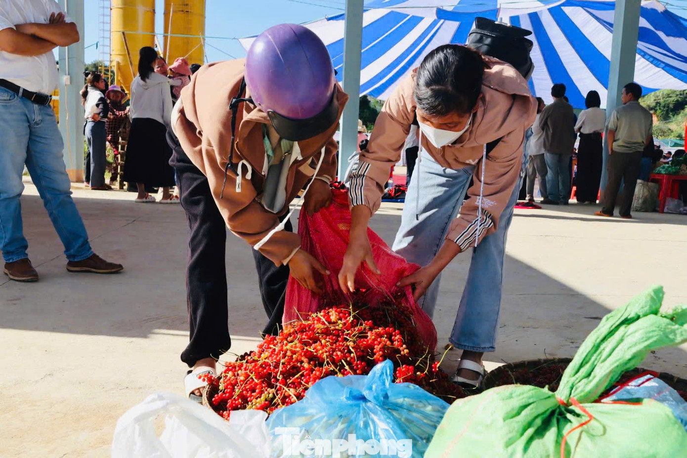 'Hạt ngọc trời' là gì, đắt đỏ ra sao mà người dân kéo nhau lên núi tìm kiếm? - Ảnh 25