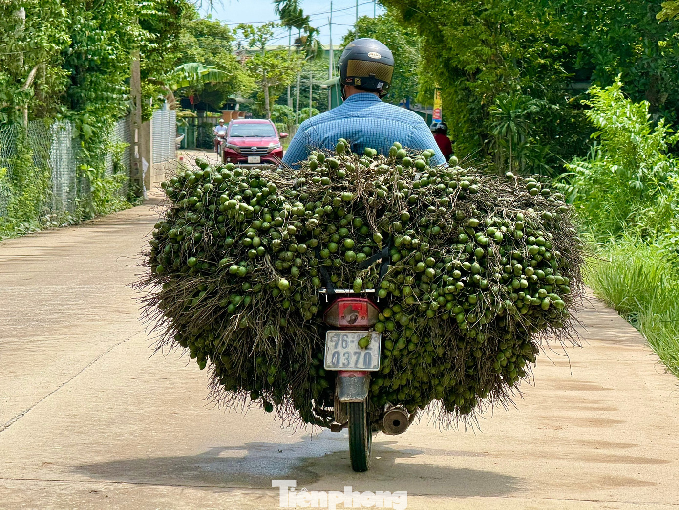 Cau rớt giá thảm hại vì thương lái Trung Quốc bất ngờ 'quay xe' - Ảnh 4