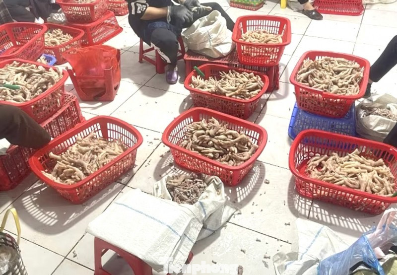 Thu giữ trên 3,5 tấn chân gà ‘bẩn’ ở khu vực biên giới - Ảnh 1