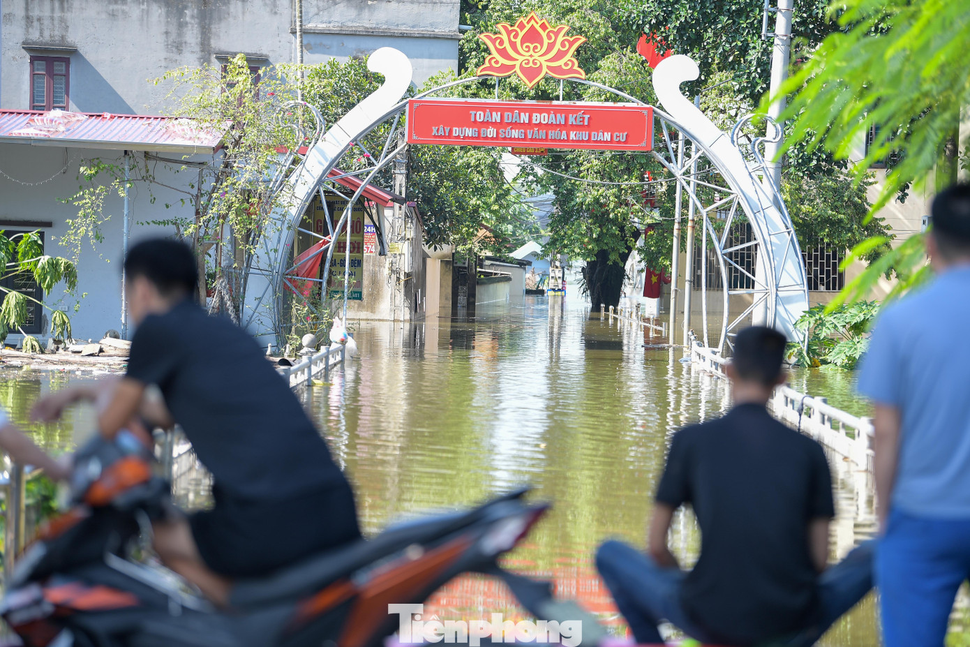 Biệt thự chìm trong biển nước, làng Quả Cảm thành ‘ốc đảo’ giữa Bắc Ninh - Ảnh 11
