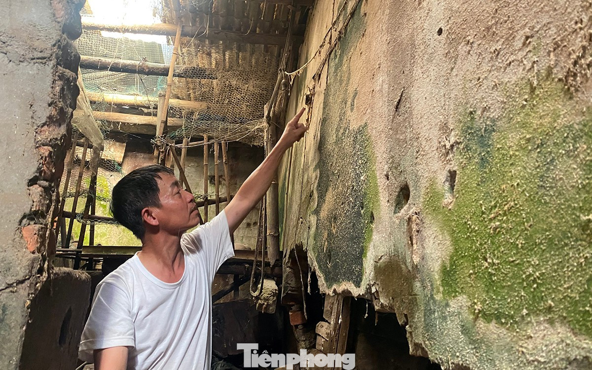 ‘Bất lực’ thi hành án vụ lấn chiếm, xây nhà trên đất người khác ở Hải Phòng - Ảnh 5