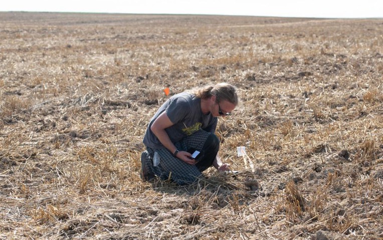 Phát hiện kho báu vô giá tại một địa điểm bí mật ở châu Âu - Ảnh 1