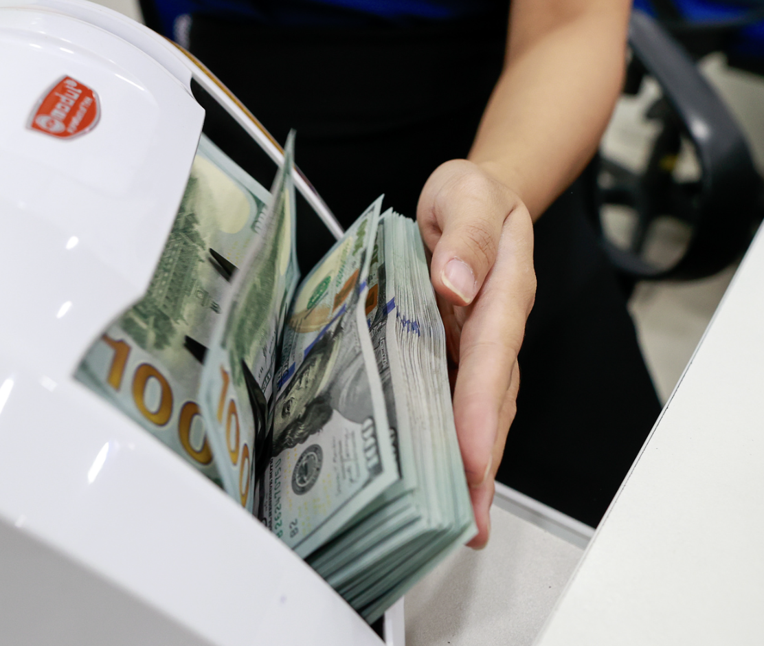 Ngân hàng Nhà nước: Có đối tượng mua ngoại tệ tiền mặt để trục lợi - Ảnh 1